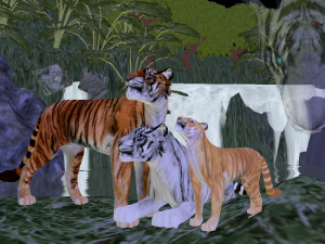 realistic_tigers_for_you_by_rikuko-d4vxk9u.png