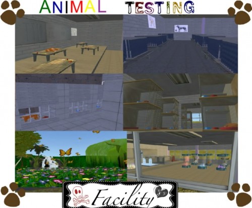 animaltestingfacility-2.jpg